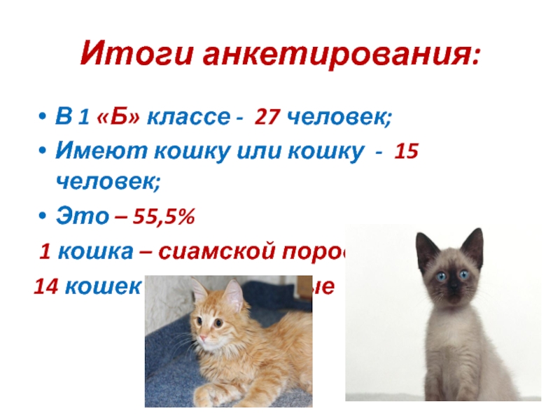 Итоги анкетирования:В 1 «Б» классе - 27 человек; Имеют кошку или кошку - 15 человек;Это – 55,5%