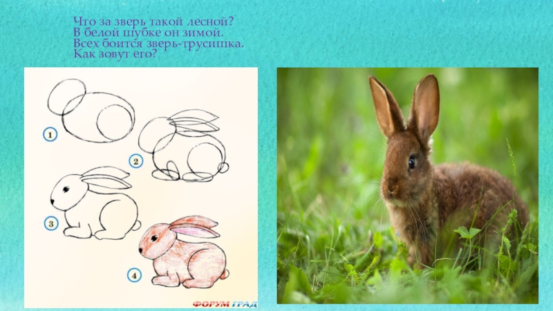 2 класс изо презентация звери в лесу
