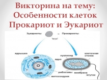 Презентация викторина по биологии Сравнение прокариотических и эукариотических клеток