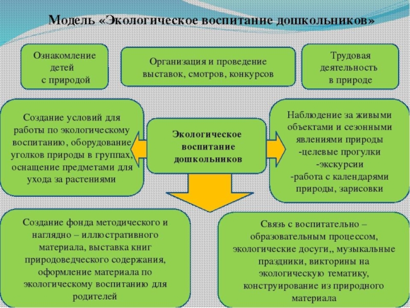 Работа с родителями по экологическому воспитанию дошкольников презентация