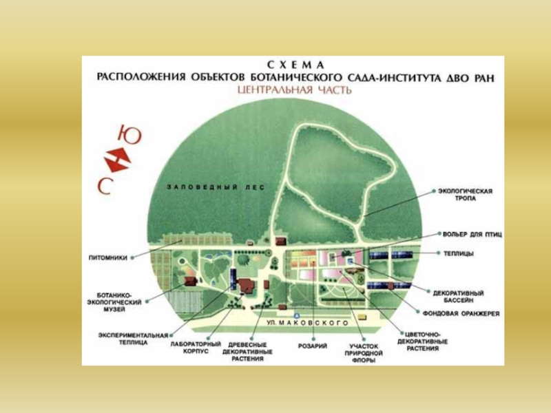 Ботанический сад ран схема