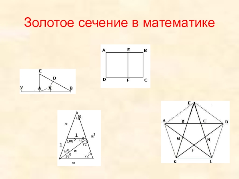 Проект на тему золотое сечение по математике