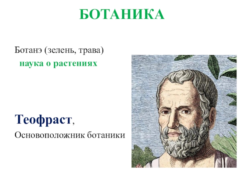 Ботаник проект. Ботаника это наука. Ботаника презентация. Ботаника это наука изучающая. Ботаника наука о растениях презентация.