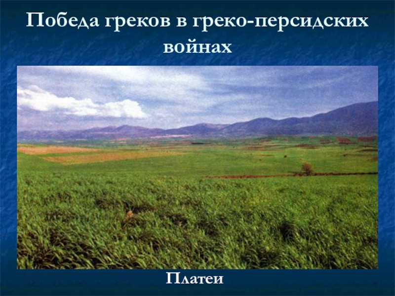 Какая платеи. Битва при Платеях 5 класс. Киферон гора.