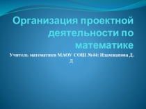 Презентация по теме Организация проектной деятельности по математике