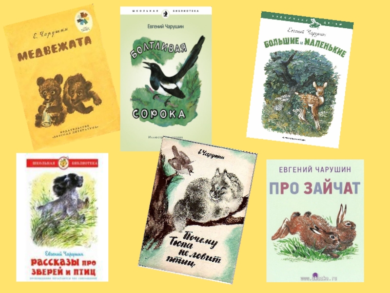 Чарушин 1 класс. Чарушин 1 класс литературное чтение. Сообщение о е и Чарушин. Евгений Чарушин 1 класс. Произведения Евгения Чарушина 2 класс.