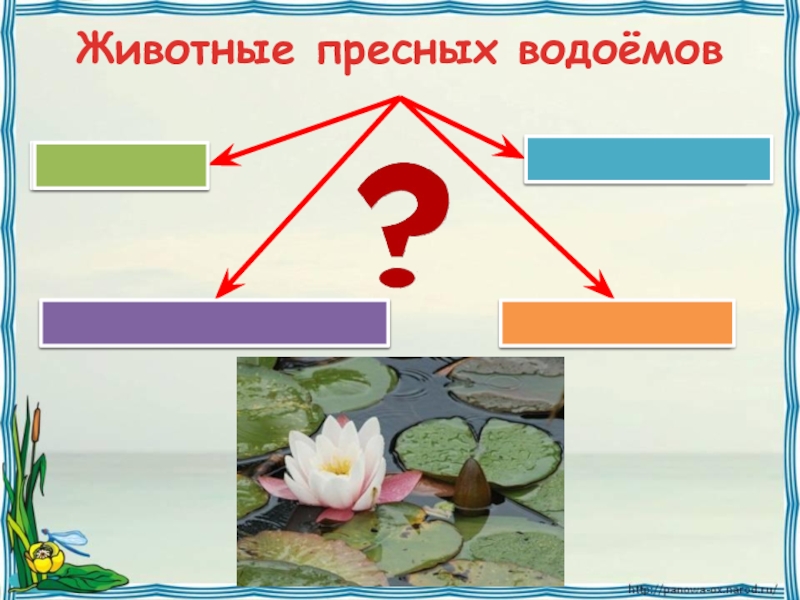 4 класс жизнь в пресных водах презентация