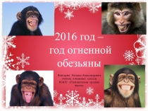 Презентация по технологии на тему Твоя мастерская. Символ 2016 года