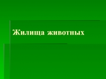 Презентация по экологии Жилища животных