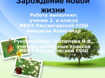 Презентация к исследовательской работе Зарождение новой жизни