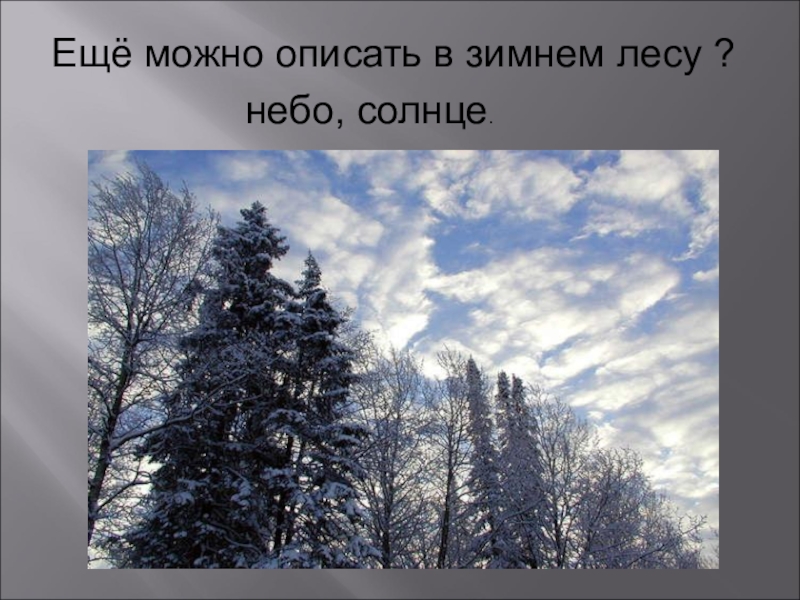 Сочинение описание неба. Описание неба зимой. Описать зимнее небо. Описание зимнего неба в лесу. Описать живой зимний лес.