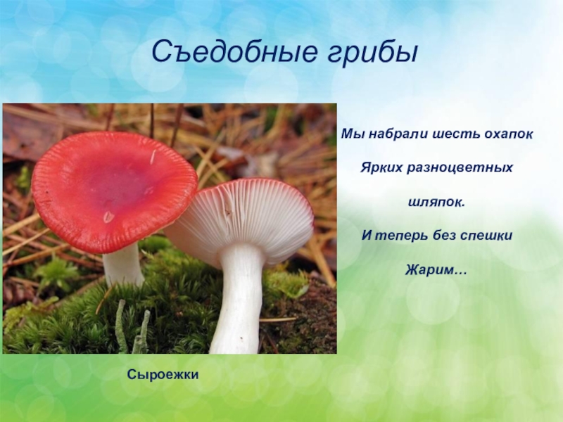 Несъедобные грибы 3 класс. Съедобные грибы и несъедобные грибы окружающий мир 2. Съедобные и несъедобные грибы презентация. Съедобные и несъедобные грибы 3 класс. Призентация на тему сыедобние грибы и не сьедобные.