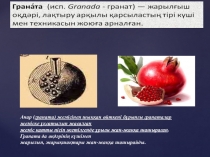 Ашық сабақ Жарықшақты қол гранатасы