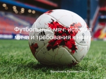 Презентация по Физической Культуре на тему Футбольный мяч