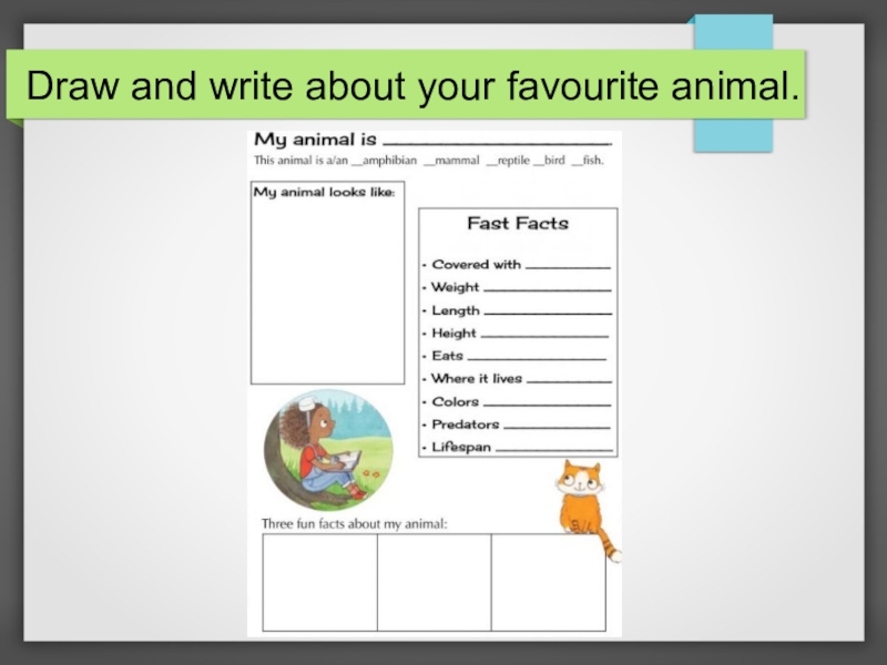 Draw and write. Draw and write about. Draw and write about your. Draw and write about and animal. Draw and write about your Toys.