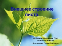 Презентация по биологии на тему: