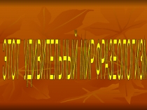 ЭТОТ УДИВИТЕЛЬНЫЙ МИР ФРАЗЕОЛОГИЗМОВ