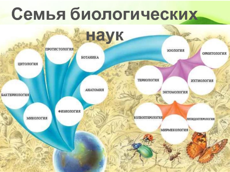 Науки о живой природе 5. Семья биологических наук. Биологическая семья.