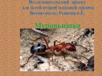 Презентация к проекту Муравей (средняя группа).