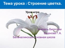 Презентация цветок 6 класс