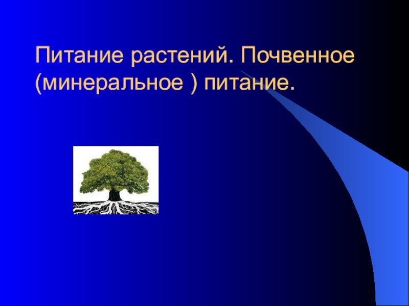 Презентация урока Почвенное питание растений