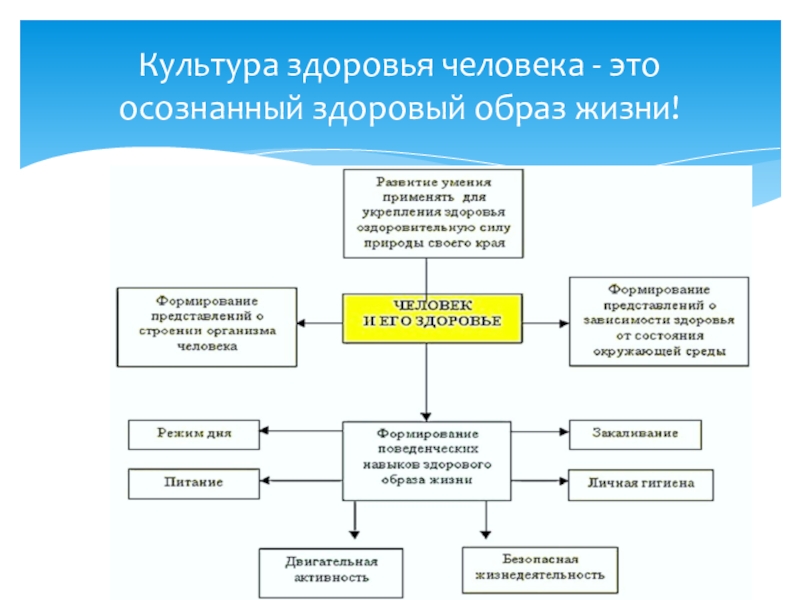 Культура здоровья это. Культура здоровья. Формирование культуры здоровья. Составляющие культуры здоровья. Компоненты культуры здоровья личности.