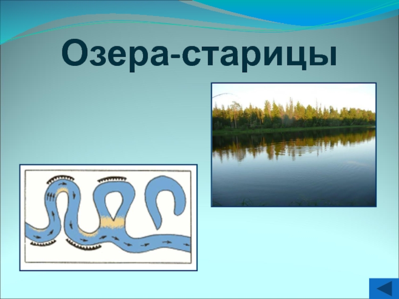 Форма озера. Озера старицы России. Озеро Старица. Озёра старицы примеры. Старица реки.