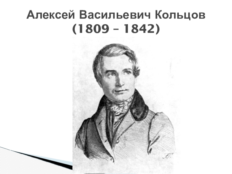 Какой писатель родился 1809. Кольцов поэт. Кольцов портрет.