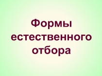 Презентация по биологии по теме Формы естественного отбора (10 класс)