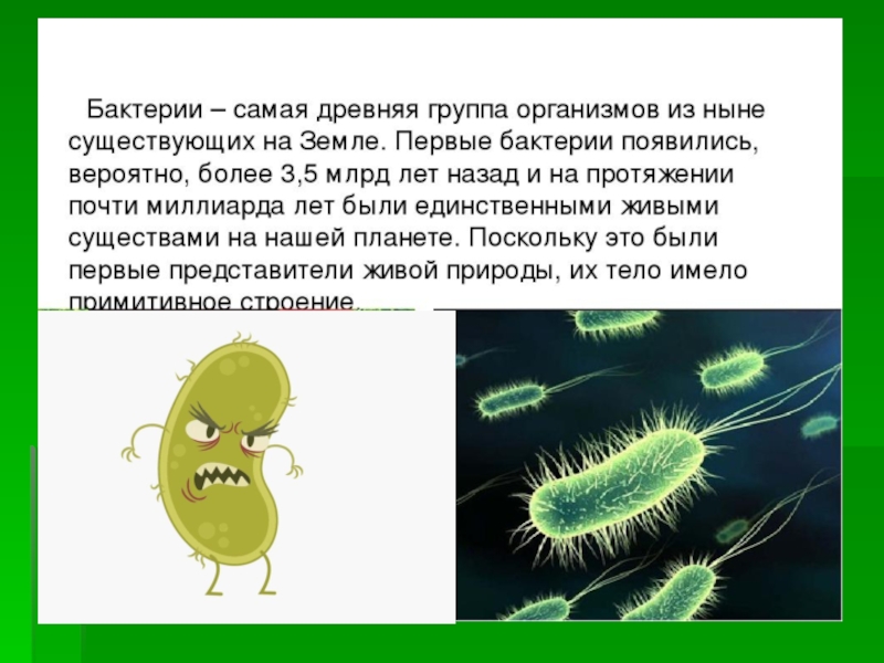Каково значение бактерий в жизни человека впр