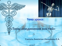 Презентация Типы соединения костей