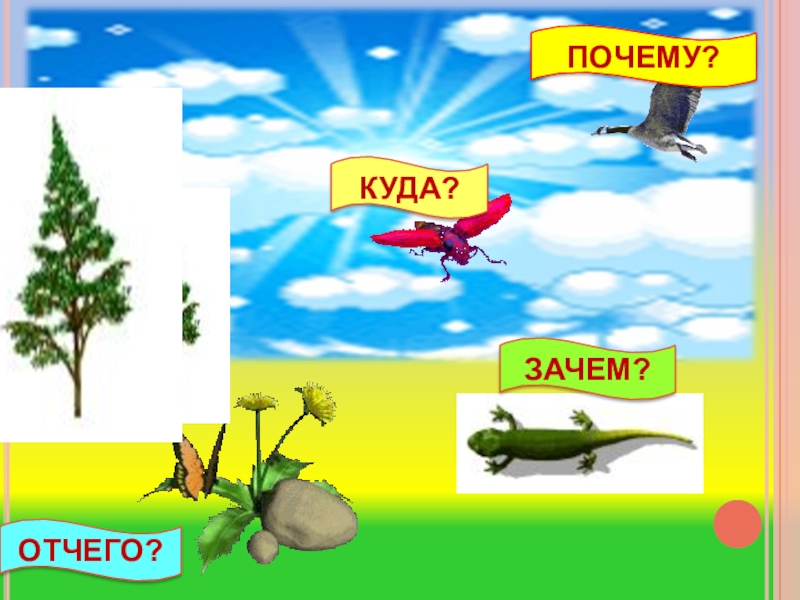 Отчего куда