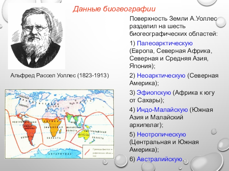 Профессия биогеограф 6 класс. Основоположник биогеографии. Биогеографы ученые. Сообщение о биогеографии.