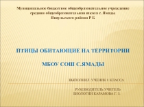 Презентация проекта Путешествии натуралиста