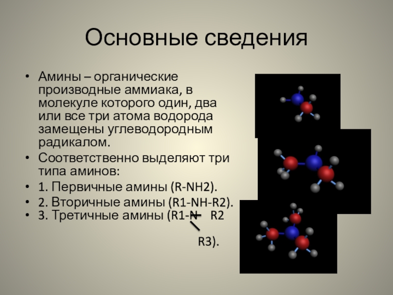 Амины являются органическими основаниями