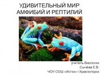 Презентация по биологии на тему Удивительный мир амфибий и рептилий