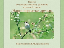 Проектная деятельность в средней группе.  Наши пернатые друзья