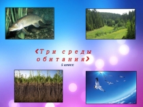 Презентация по природоведению 3 среды обитания (5 класс)