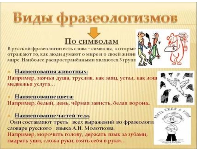 Презентация русский язык фразеологизмы