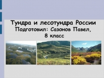 Презентация по географии на тему Тундра и лесотундра России(8 класс)