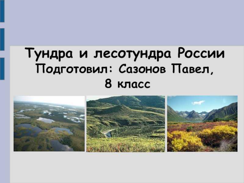 Презентация по географии тундра 8 класс