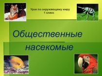 Презентация к уроку окружающего мира 1 класс УМК Гармония