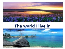 Презентация к уроку английского языка по теме Мир, в котором я живу