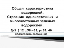 Презентация по биологии Общая характеристика водорослей. Одноклеточные и многоклеточные зелёные водоросли (6 класс)