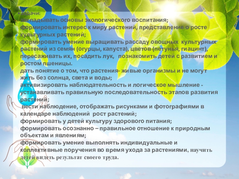 Актуальность проекта по экологии в детском саду