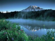 Презентация по биологии Анализаторы слуха