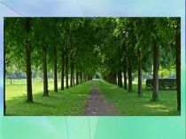 Презентация к интегрированному уроку в 6 классе по теме Масштаб