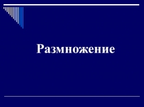Презентация по биологии на тему Размножение