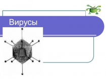 Презентация по биологии вирусы