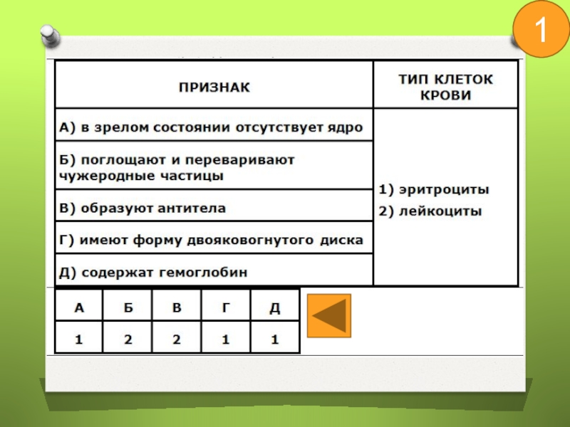 Оформленное ядро отсутствует в клетках. В зрелом состоянии отсутствует ядро. Ядро отсутствует в клетках. Признак состоянии отсутствует ядро Тип клеток крови.. Ядро отсутствует в клетках ответ.